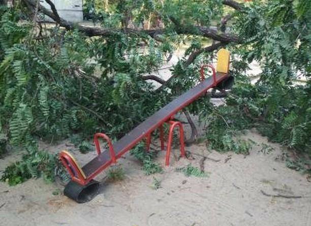 На Отрадном на детскую площадку рухнуло дерево