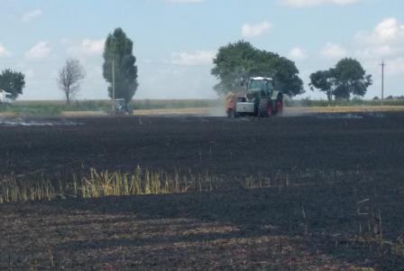 Под Киевом сгорело поле пшеницы