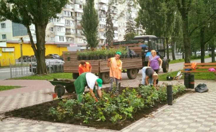 В Киеве интенсивно высаживают розы