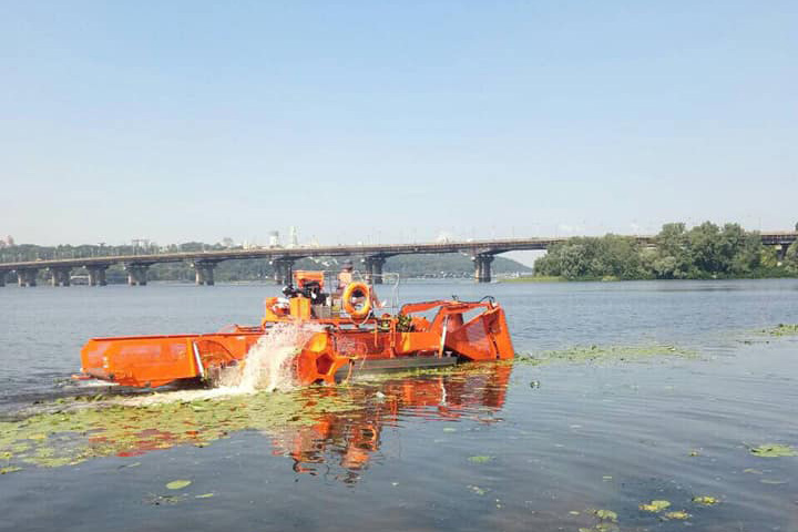 Пляжные зоны очищают от водорослей (фото)