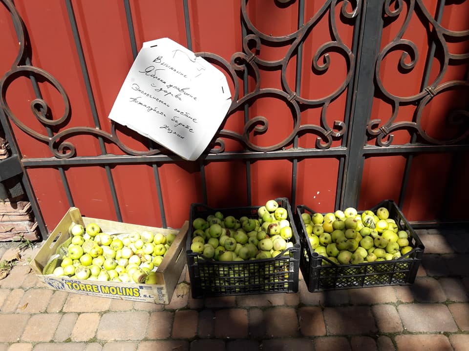 На Нивках бесплатно раздавали яблоки (фото)