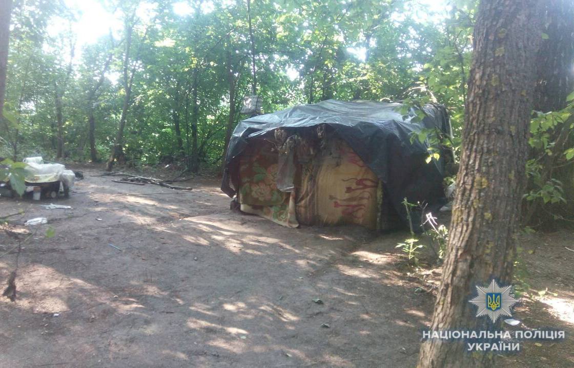 Под Киевом женщина с детьми поселилась в лачуге посреди леса (фото)