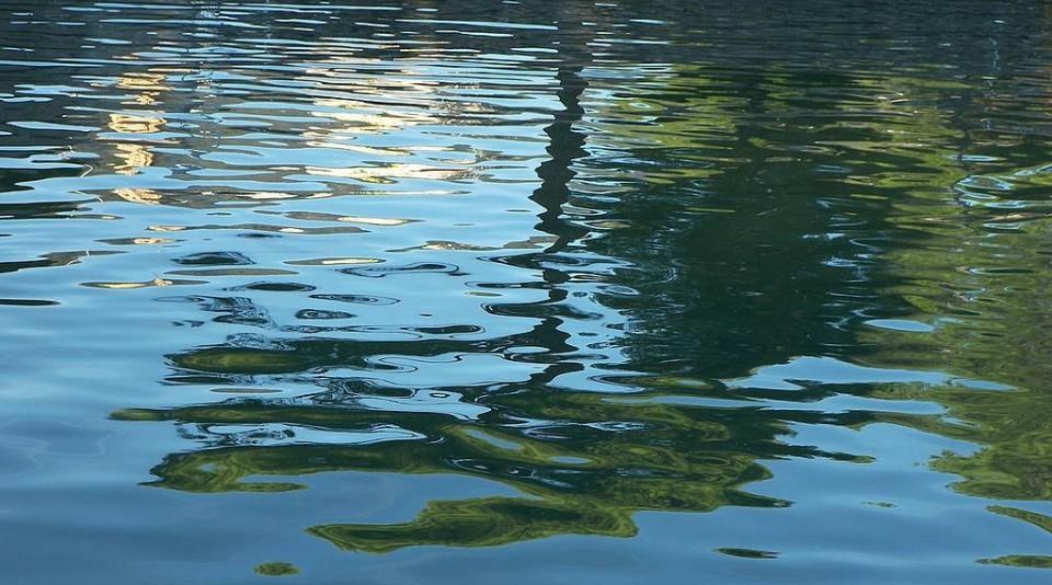 В озере на Виноградаре утонул мужчина (фото)