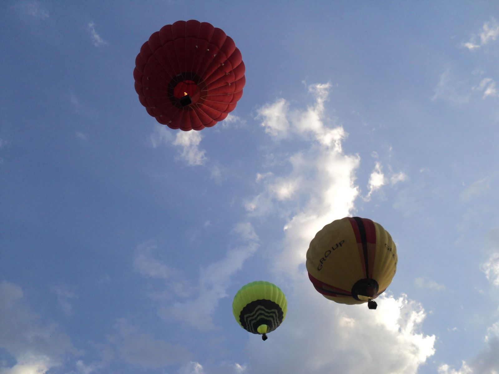 Под Киевом взмыли в воздух десятки воздушных шаров (фото)