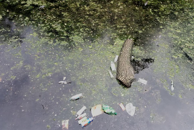 Озеро в парке "Нивки" превратилось в мусорку (фото)