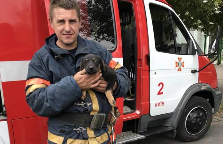 В центре Киева из-под земли спасли собаку