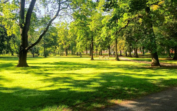 В Вышгороде предлагают создать ландшафтный парк
