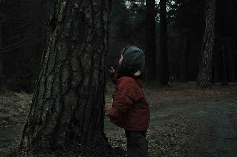 В лесу Фастова родители потеряли в лесу маленького ребенка