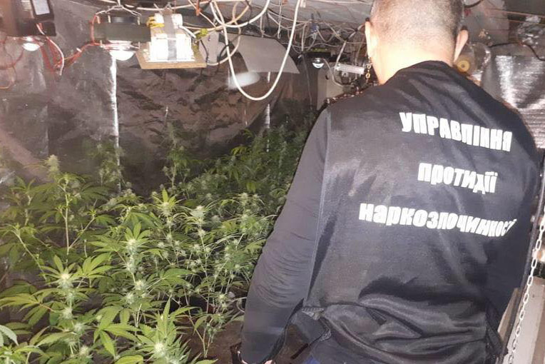 В Киеве действовал крупный наркокартель