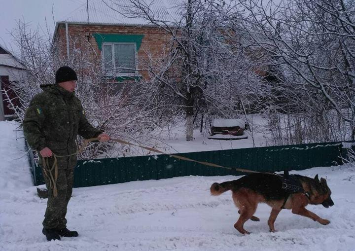 Под Киевом собака помогла вычислить домушника
