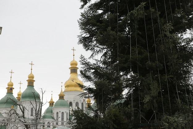 Киевская елка оказалась в ТОП-3 рекордсменов страны