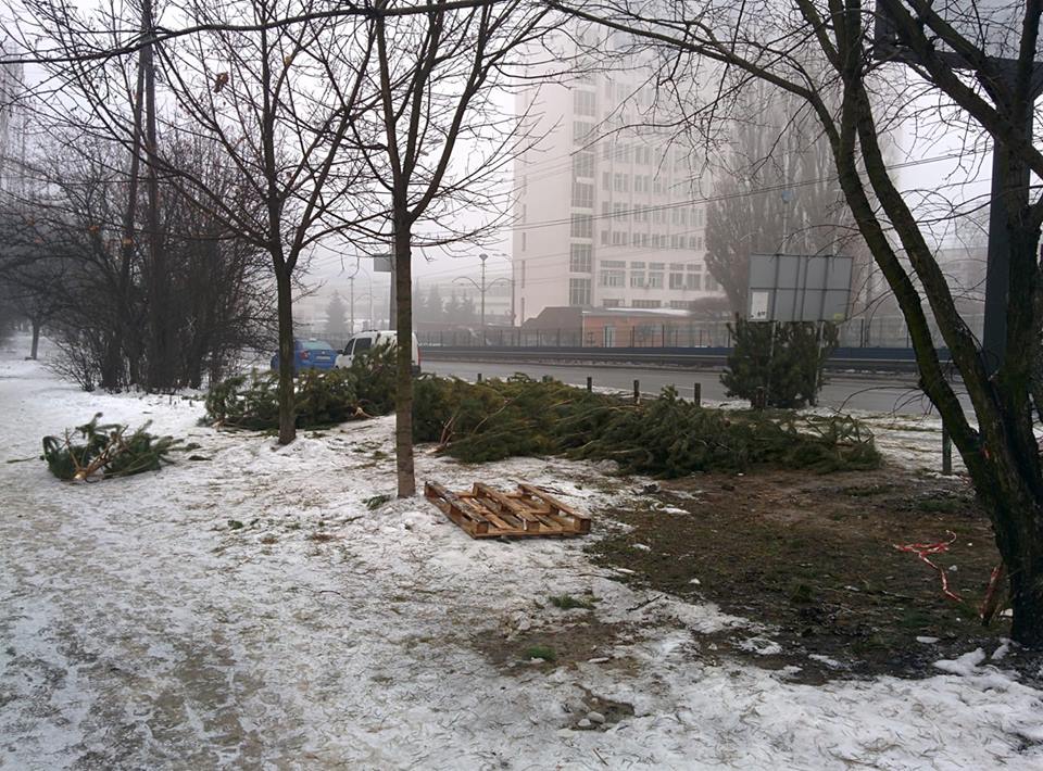 На киевских улицах – горы ненужных елок