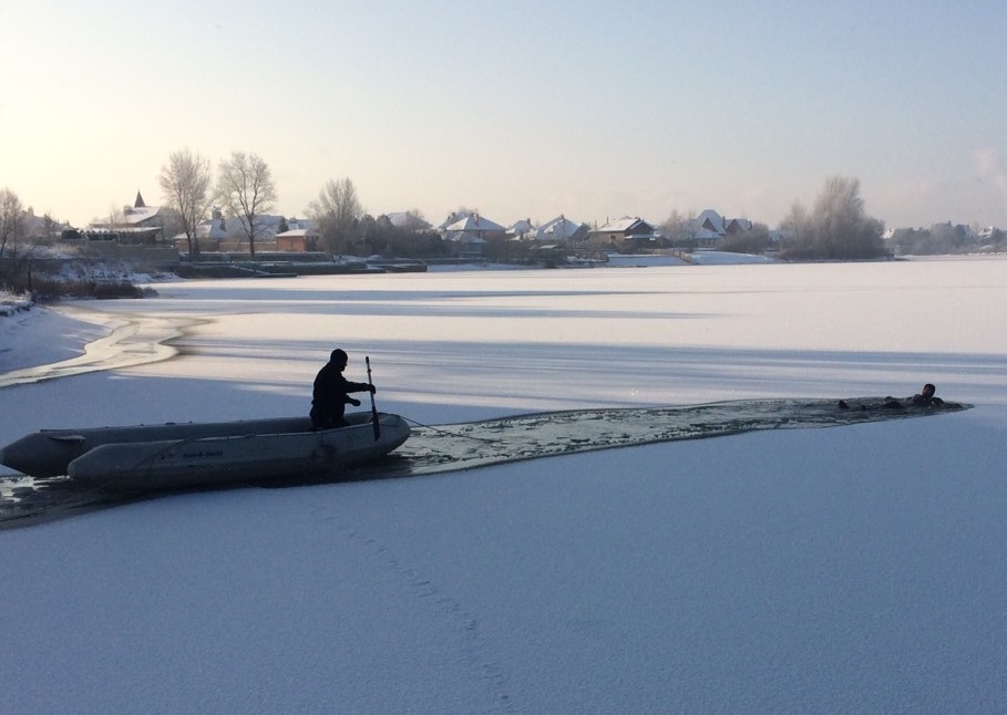 Под Киевом ко льду озера примерзли лебеди