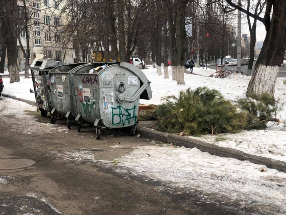 Киевляне массово избавляются от елок