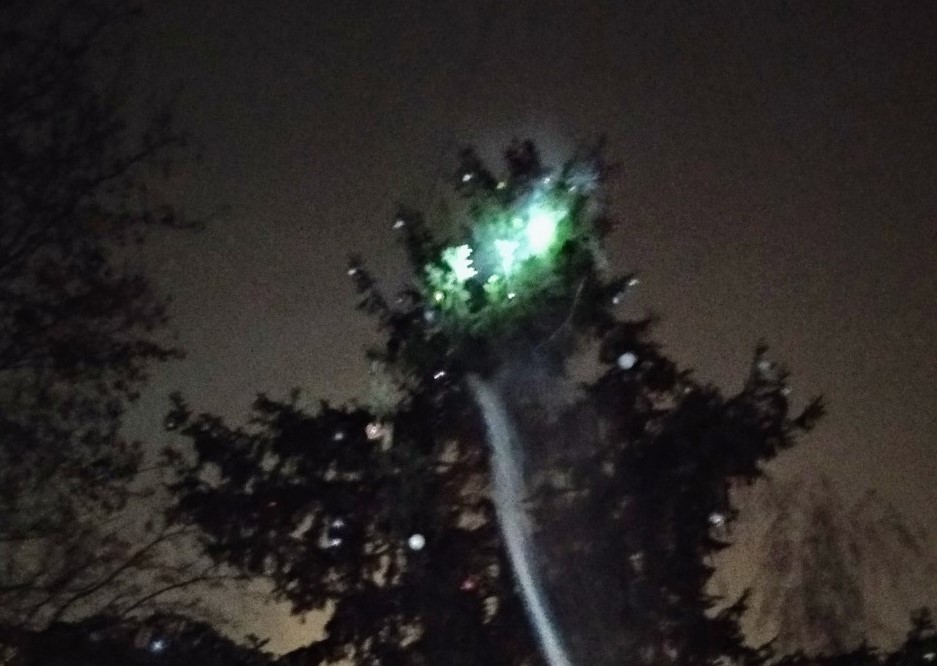 На новогодней елке под Киевом вспыхнула гирлянда