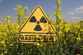 В руках преступников оказались радиоактивные отходы