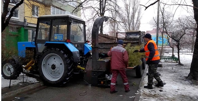 Русановку расчистили от ненужных елок