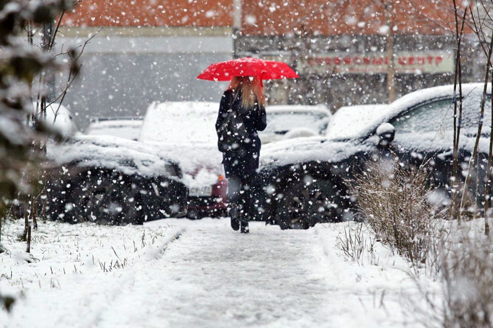Киев накрыл снегопад
