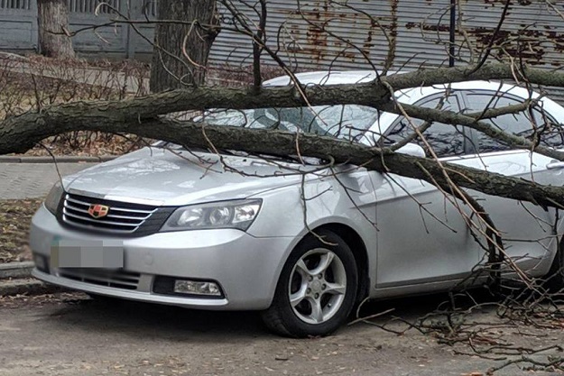 Упавшие деревья и сорванные крыши. По Киеву прошел ураган (фото)