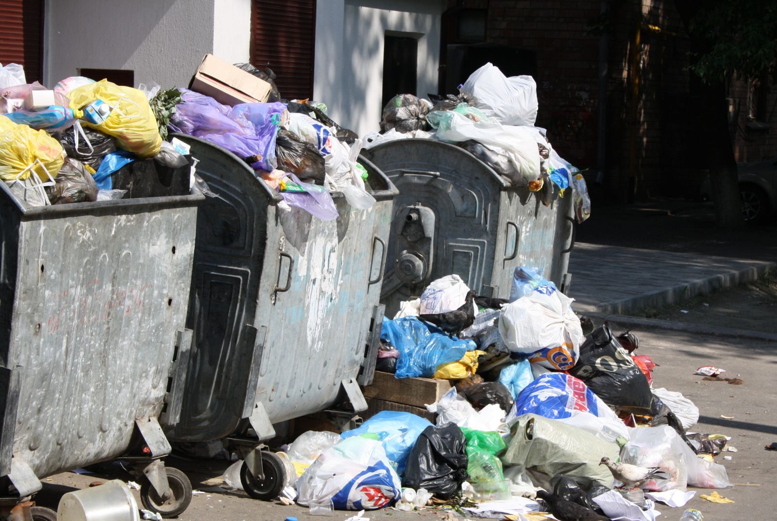 Киевляне в семь раз чаще стали жаловаться на мусорные свалки