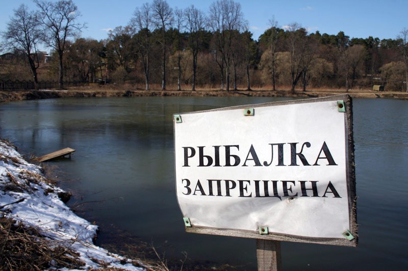 Под Киевом запретят ловить рыбу в водоемах