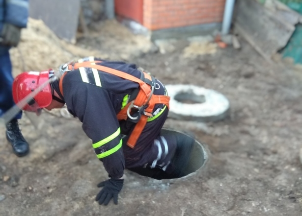 Под Киевом из выгребной ямы спасли хаски (фото)