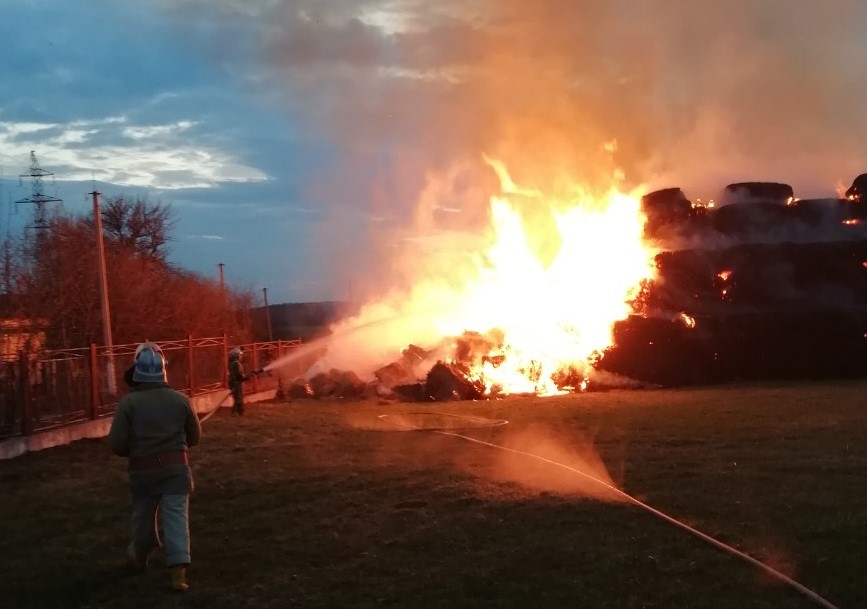 Из-за выжигания травы под Киевом загорелась ферма