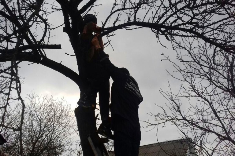 Под Киевом снимали с дерева мужчину (видео)