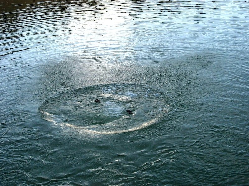 В озере на Оболони утонул мужчина
