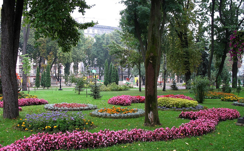В Киеве засыхают парковые зоны