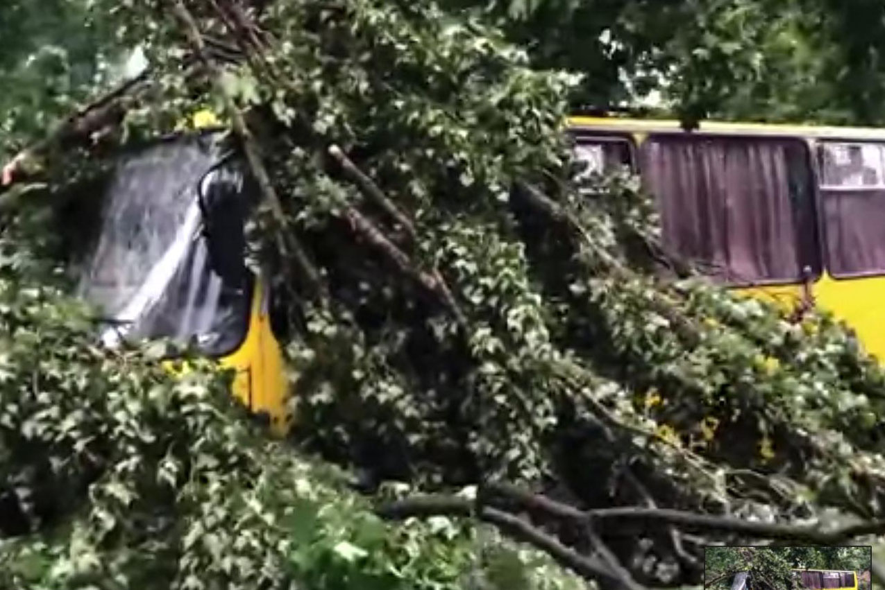 Дерево обрушилось на пассажирский автобус (видео)
