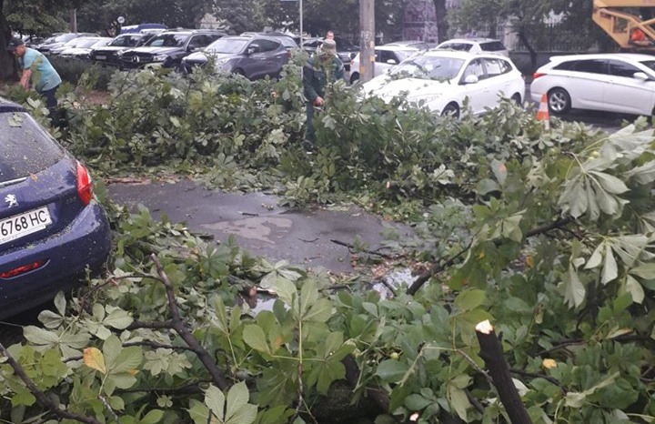 Ураган свалил десятки деревьев в Киеве