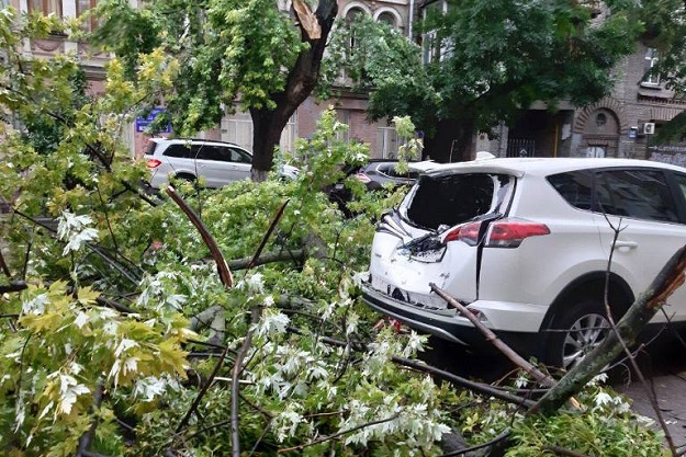 Поваленные деревья и затопленные улицы. По Киеву прошел ураган