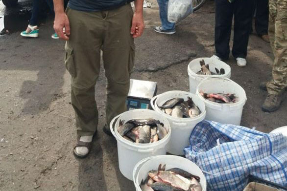 В Киевской области поймали более двухсот браконьеров