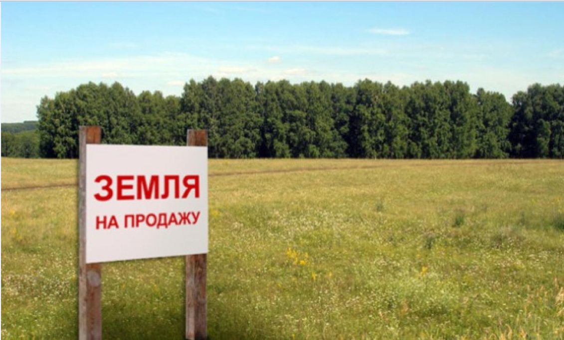 Крупный земельный аферист действовал в Киевской области