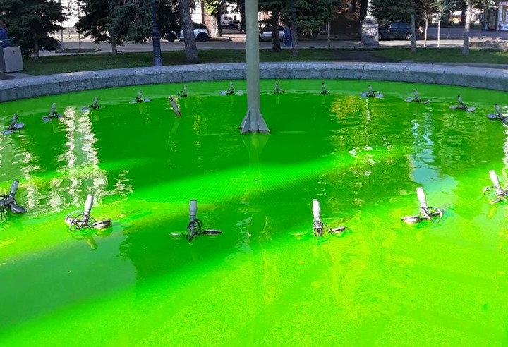 В центре Киева позеленел фонтан
