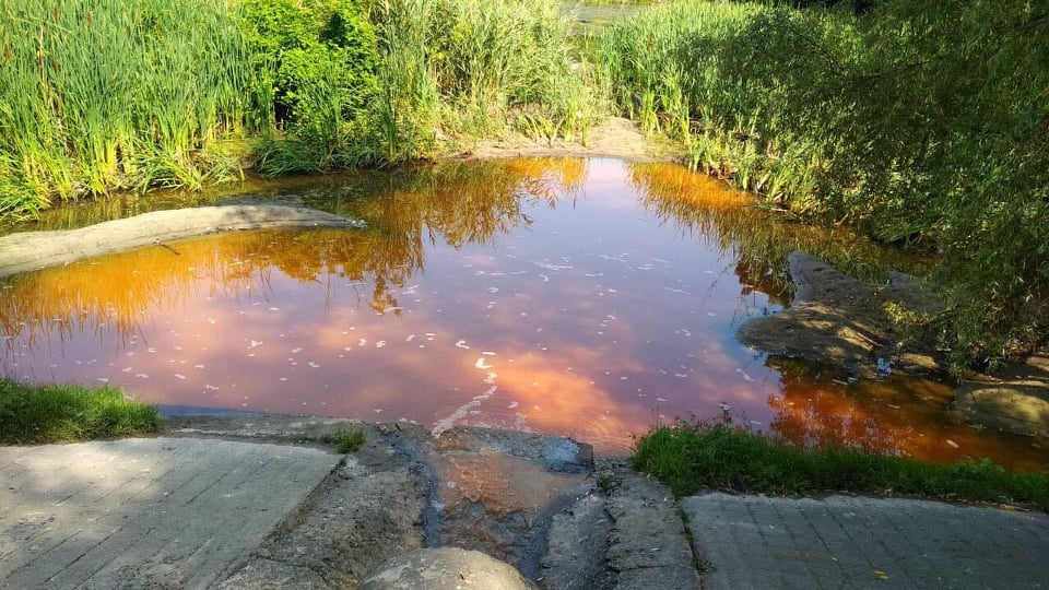 В озеро на Голосеево сливают нечистоты (видео)