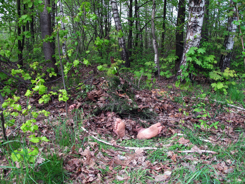 В лесу обнаружен труп