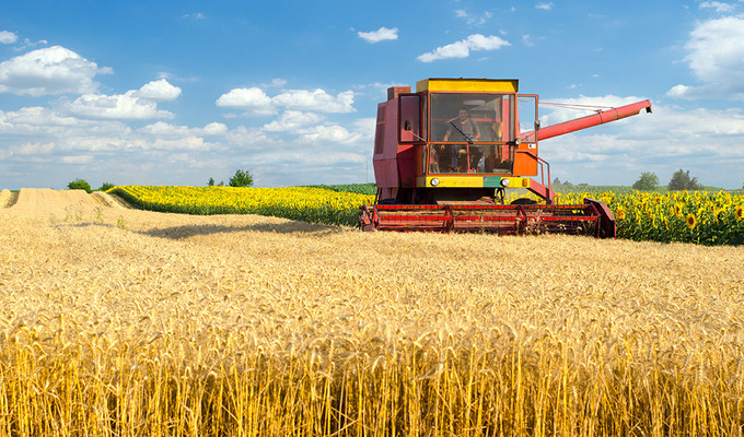 В Киевской области собрали больше миллиона тонн зерновых