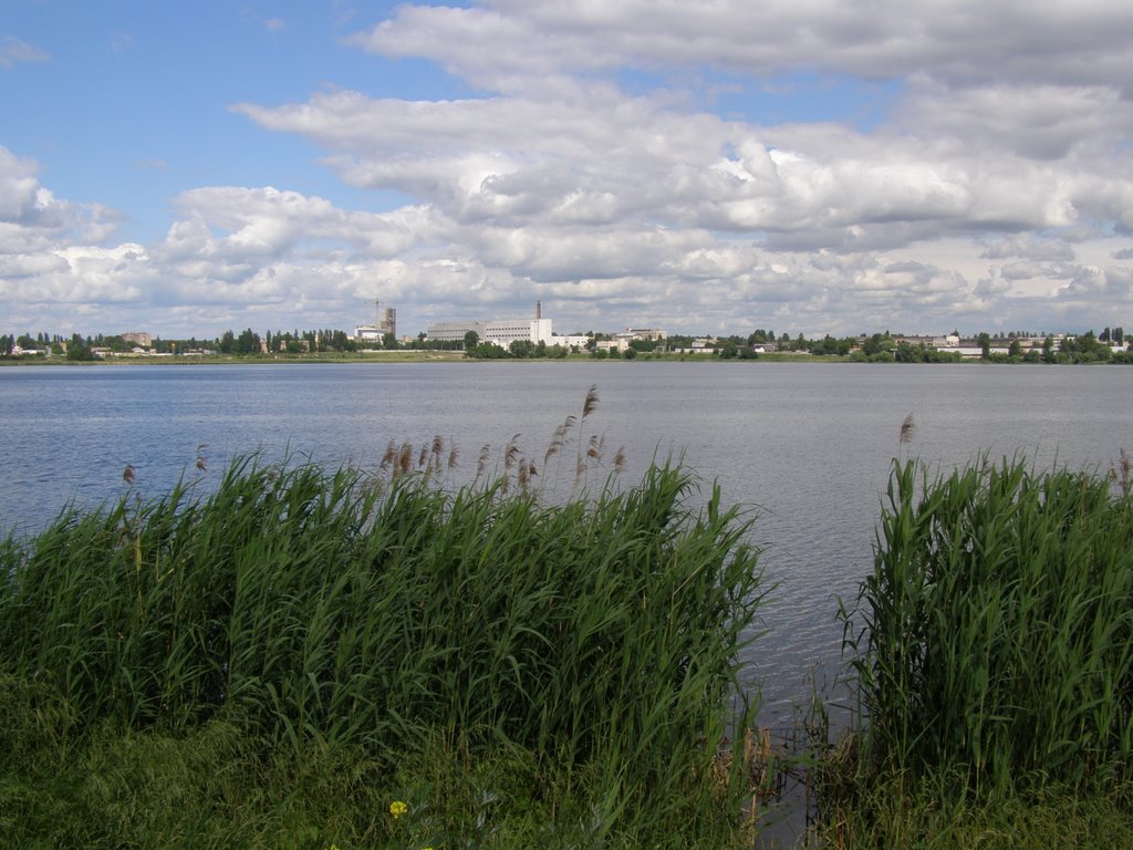 Киевляне просят облагородить озеро Вырлица