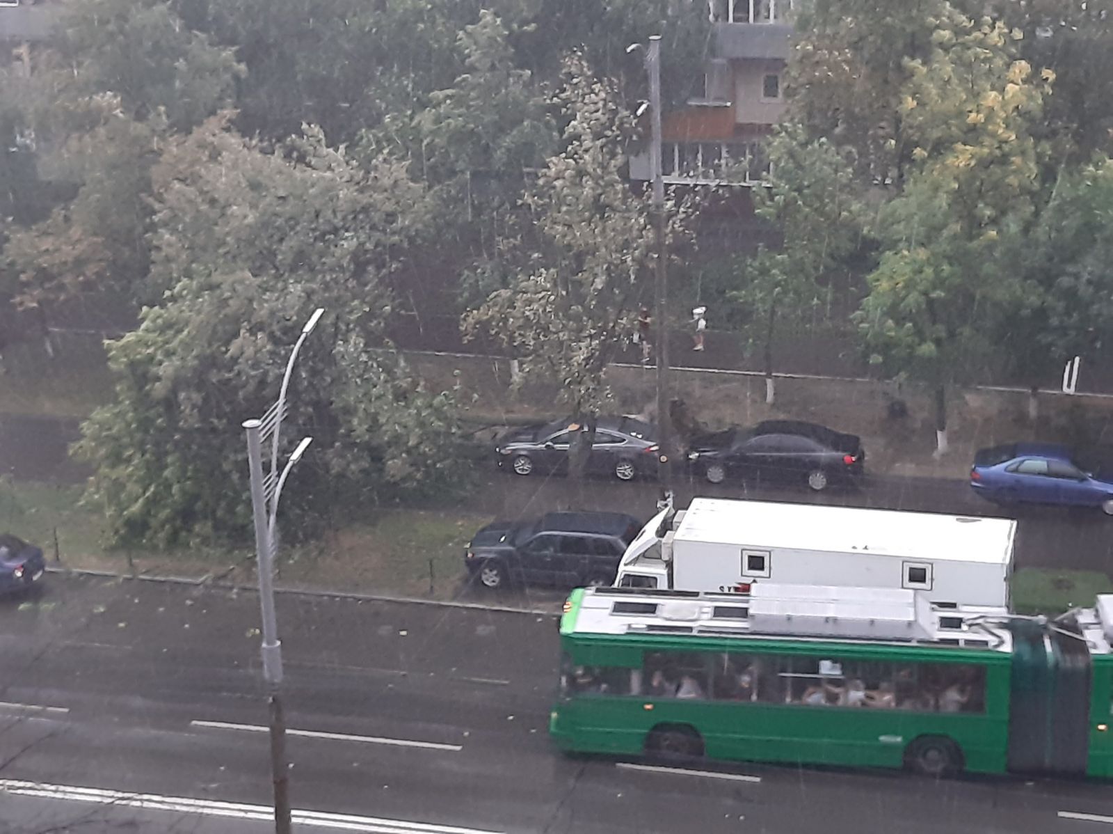 В Киеве из-за дождя и ветра падают деревья