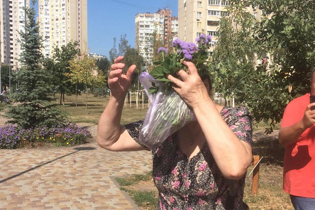 На Виноградаре воруют цветы с клумб (фото)