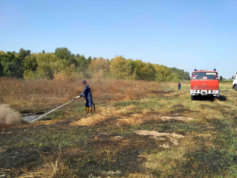 Под Киевом горят торфяники