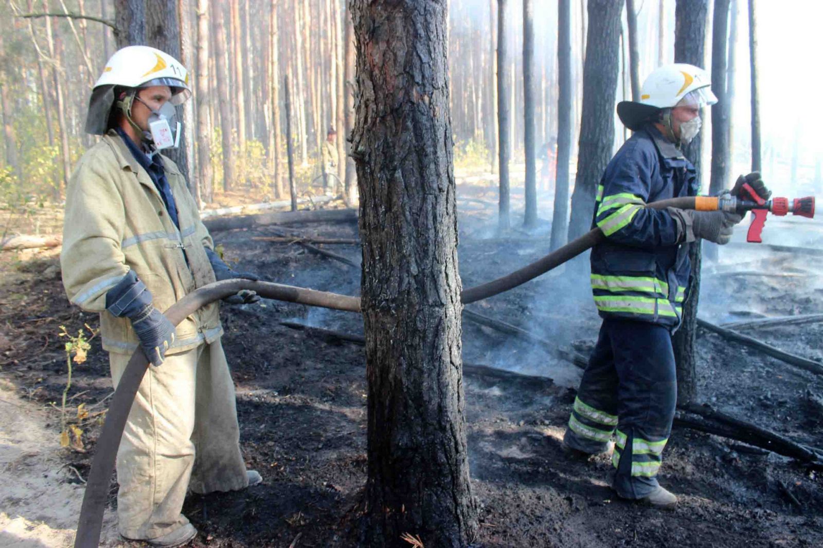 Пожар в лесу в зоне ЧАЭС не могут потушить третий день