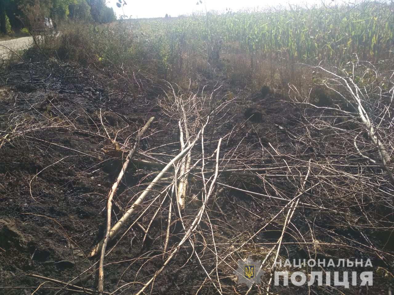 Из-за выжигания травы под Киевом гибнут люди