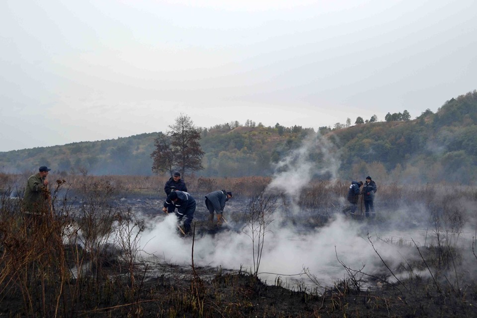 Все в дыму: под Киевом – серьезный пожар