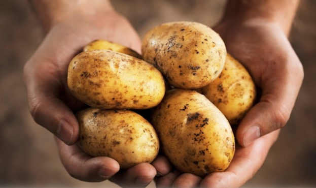 В Киеве продают опасный картофель