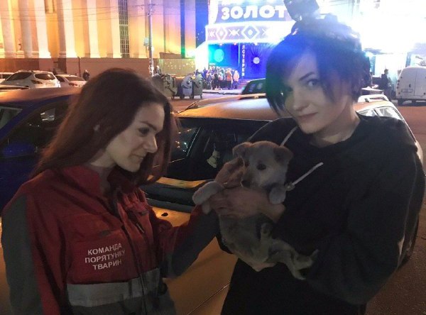 В Киеве из машины спасли щенка