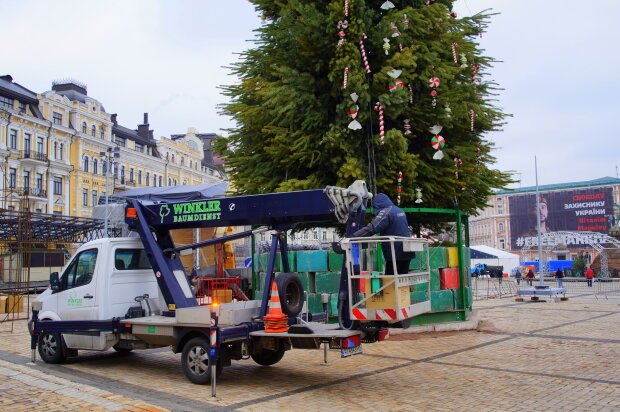Стало известно, когда закончат украшать елку на Софийской площади