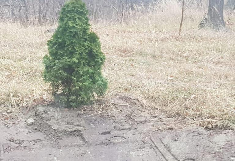 Атошник снес памятник погибшим воинам на Донбассе